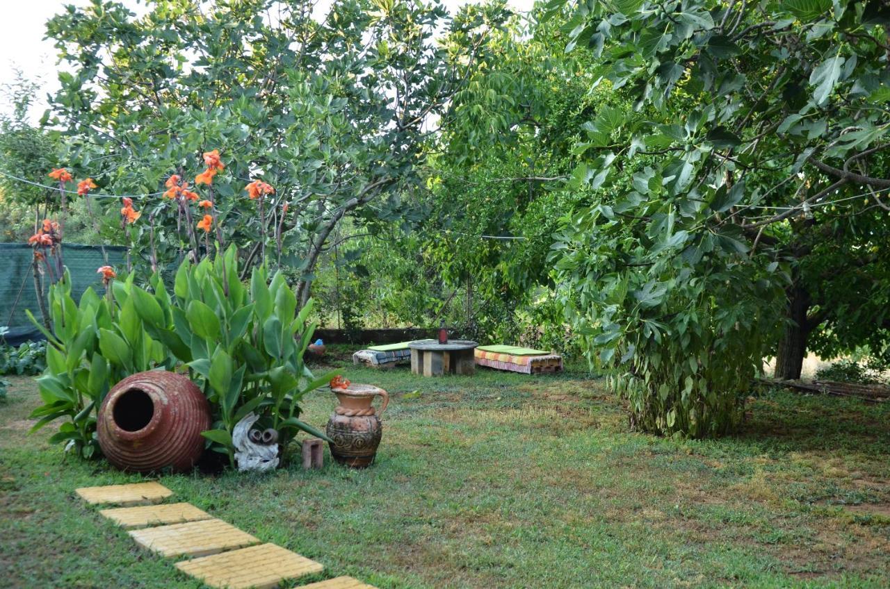 Doloi Garden House Βίλα Μάλτα Εξωτερικό φωτογραφία